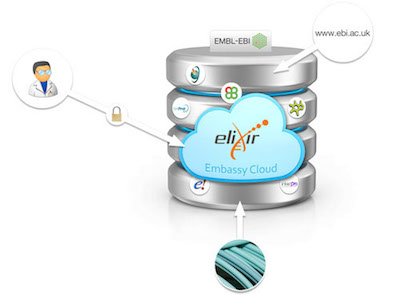 ELIXIR Pilot Actions