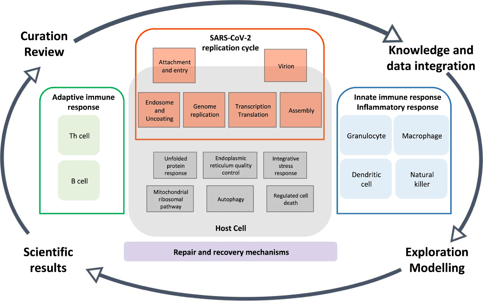 Overview of the COVID-19 Disease Map project