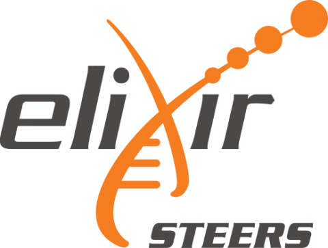 elixir-steers-logo