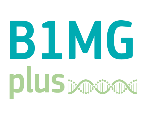 B1MGplus logo