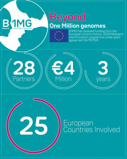 B1MG Project in numbers