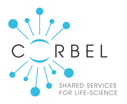 Corbel logo