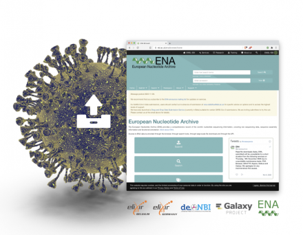 ENA page for submitting data with coronavirus icon 