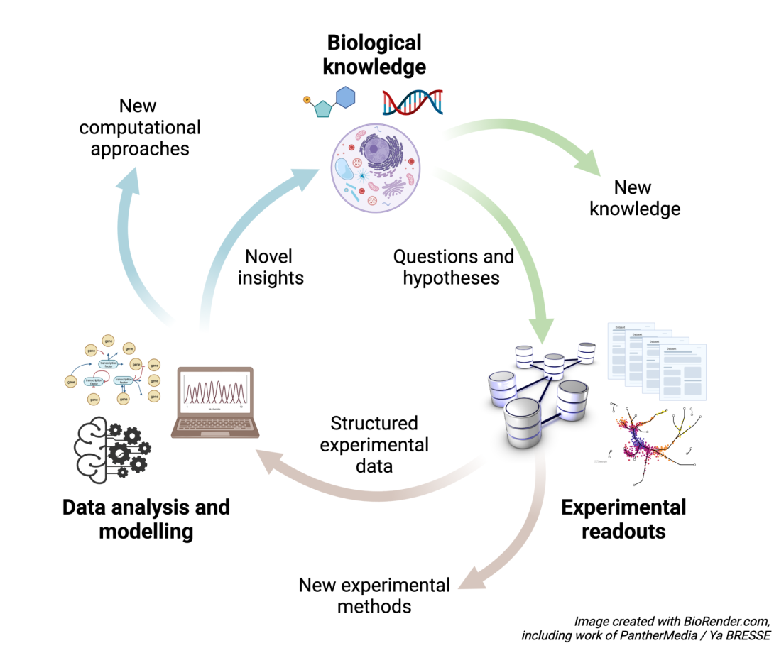 systems-biology-cycle